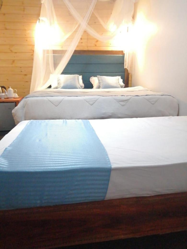 Ella Foret Accommodation Eksteriør billede